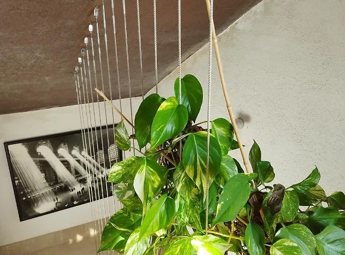 Loft A 아파트 Roda de Bará