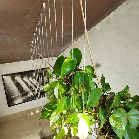 Loft A Lägenhet Roda de Bará